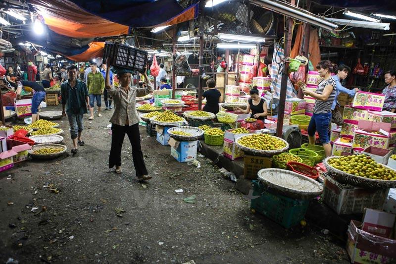 Long Bien market