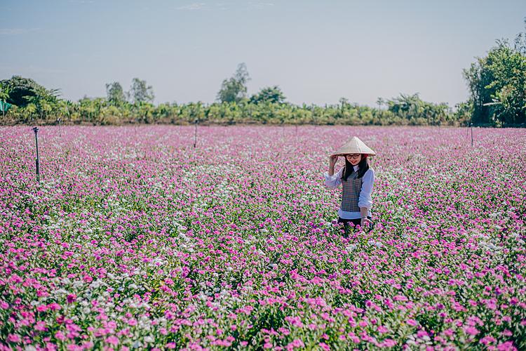 [Caption]A girl takes photo on the field. Visitors are advised not to trample or pick up flowers as these blossoms are used for disease treatment, extremely important to local people.